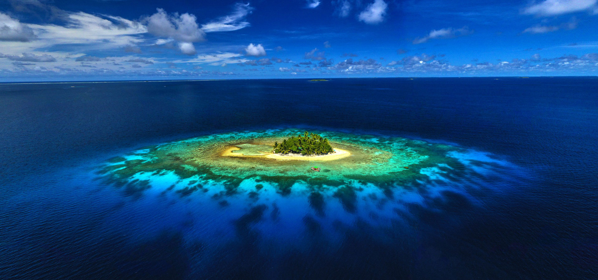 Slideshow image